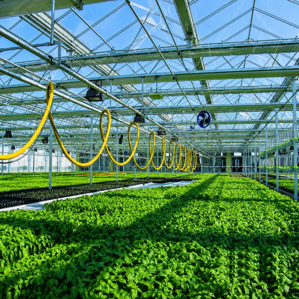 Greenhouses